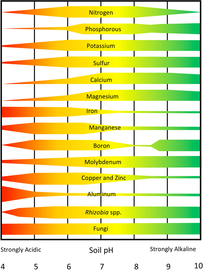 Relationship between soil pH and nutrient availability.